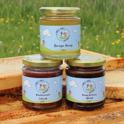 227g Jars - Honey 3 Pack - Image 15