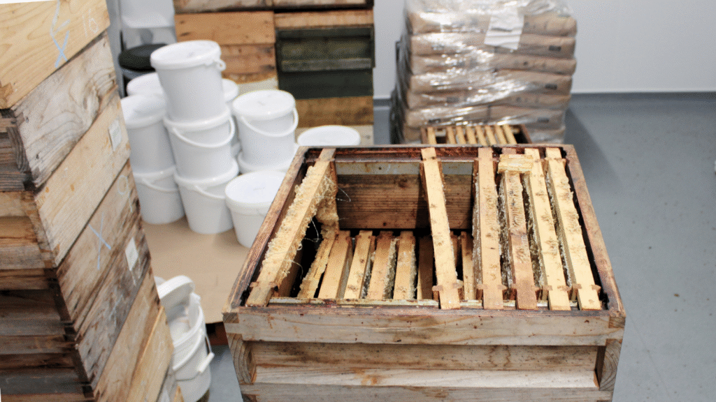 British honey, Honey, Natural honey, raw honey, uk honey, unpasteurised honey, Holt Hall Apiary, Tamworth, Summer Runny Honey, Staffordshire, Farm, British Farm