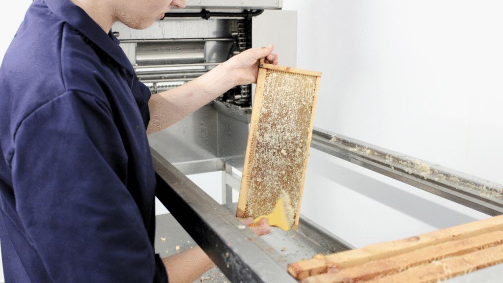 British honey, Honey, Natural honey, raw honey, uk honey, unpasteurised honey, Holt Hall Apiary, Tamworth, Summer Runny Honey, Staffordshire, Farm, British Farm